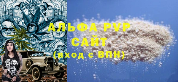 гашик Касимов