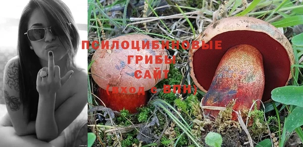 а пвп мука Карпинск